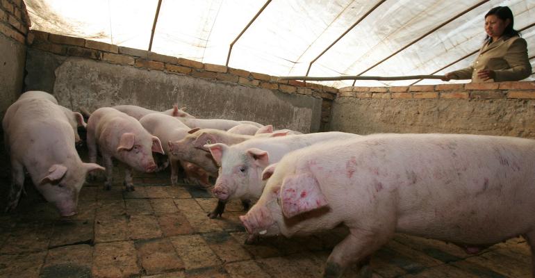 2019-07-ASF-pork-trade-impact-reaches-beyond-China.jpg