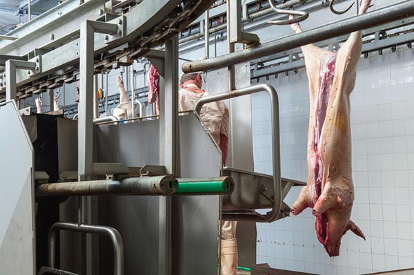Украина увеличила производство свинины на 8% за 7 месяцев 2021 г