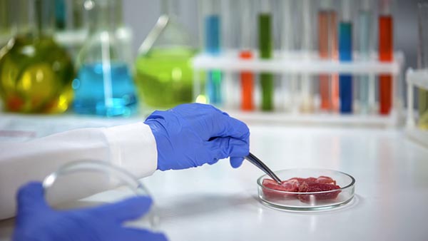 Антибиотики обнаружены в мясной продукции в Нижнем Новгороде и Тюменской области