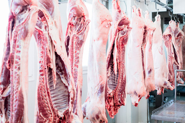 Pork imports into Ukraine weakened in November