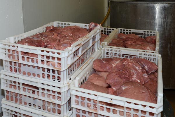 ГК «Агроэко» отчиталось о росте производства свинины
